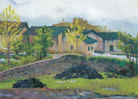 After a Rain