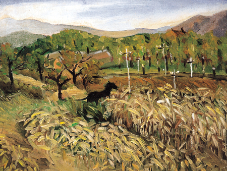 Cornfield