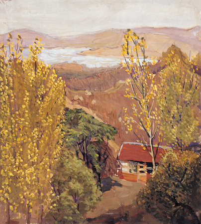 Mountain village shop