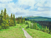 Path with flower