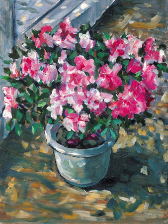 Rhododendron