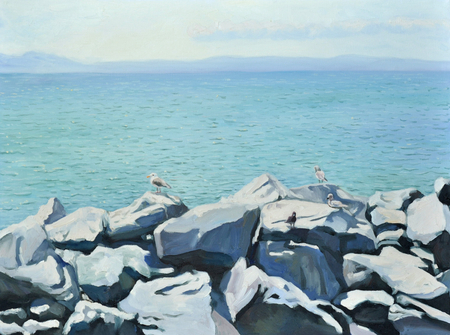 Sea and Sea Gulls